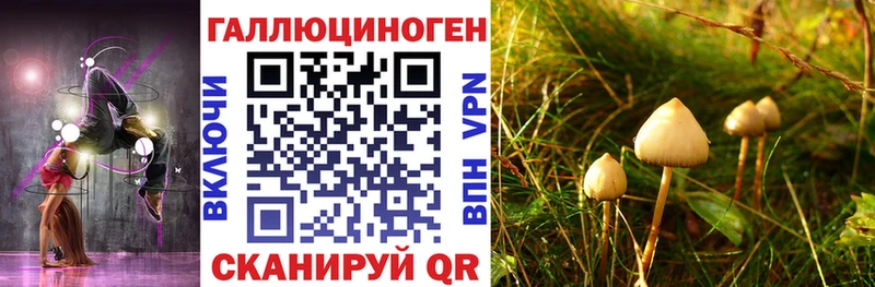 Псилоцибиновые грибы ЛСД  как найти закладки  Печора 